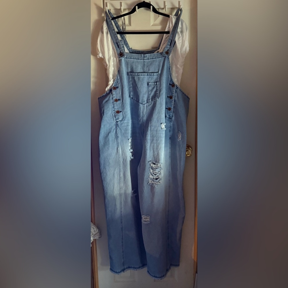 Blue Denim Distressed Overalls - Picture 2 of 7
